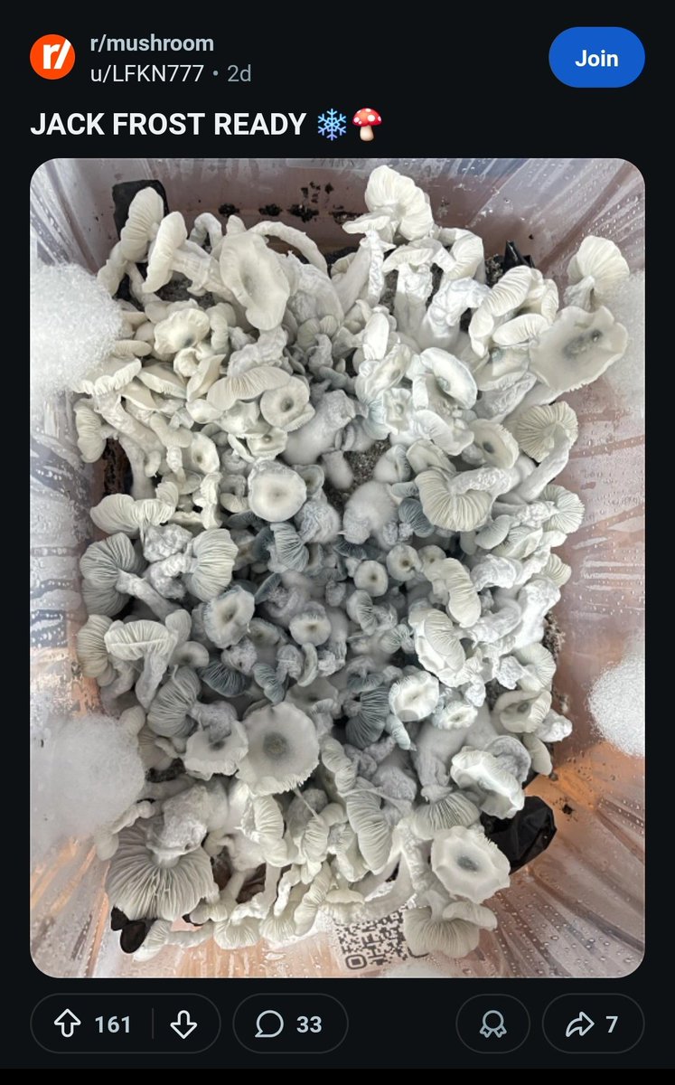 El Gamer Astral tweet media