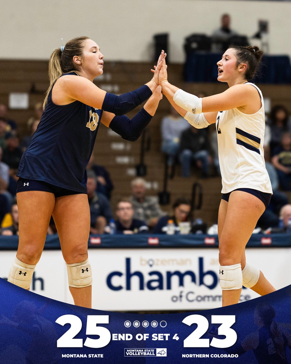 Montana State VB tweet media