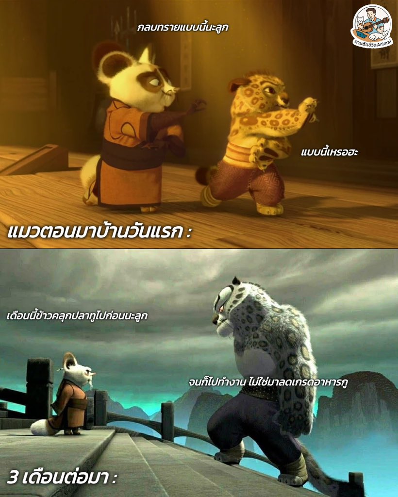 AnimalFW_TH's tweet image. คงเป็นภาพที่ใช้บรรยายคำว่า “จากกำพร้า สู่กำแหง” ได้ดีที่สุด 🤣🤣🤣
อาณาจักรสัตว์โลก มีม&amp;amp;สาระ By ตามติดชีวิตAnimal
#หมา #แมว #ทาสแมว #อาณาจักรสัตว์โลก #ตามติดชีวิตAnimal