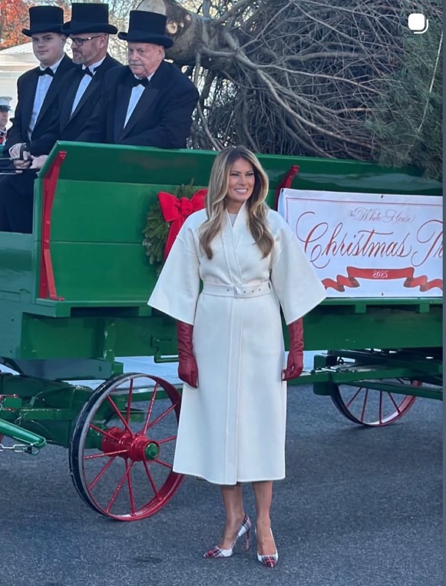 mjfree's tweet image. Caption pls