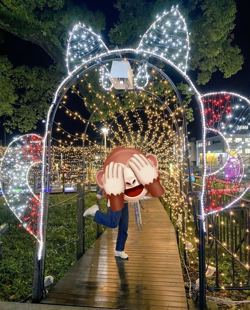 kurokuma29go's tweet image. 磐田のイルミも可愛いよ～🫰
しっぺい🐶🤍
#ゴゴボラケ