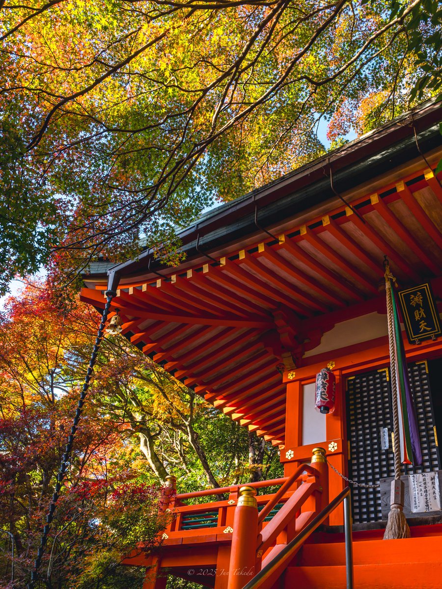 man_tac's tweet image. 京都山科毘沙門堂さんの紅葉🍁
2025.11.19撮影

#京都よきかな 
Leica SL2-S x SIGMA 28-105mm F2.8 DG DN | Art