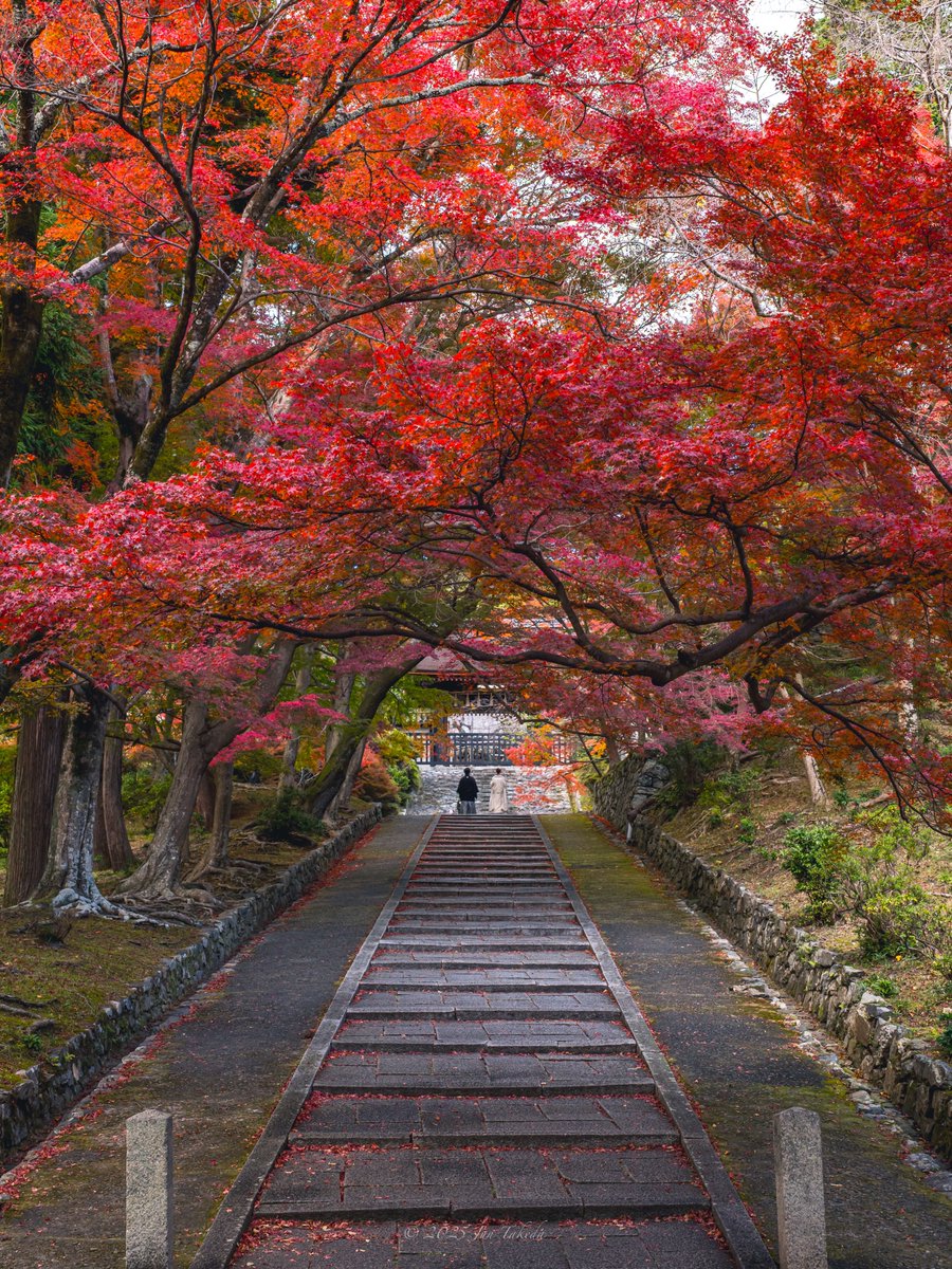 man_tac's tweet image. 京都山科毘沙門堂さんの紅葉🍁
2025.11.19撮影

#京都よきかな 
Leica SL2-S x SIGMA 28-105mm F2.8 DG DN | Art