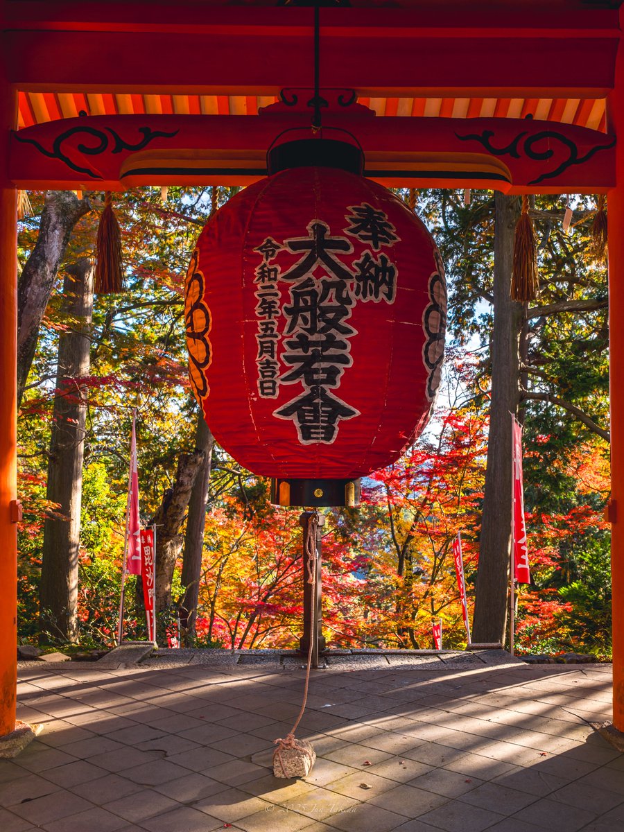man_tac's tweet image. 京都山科毘沙門堂さんの紅葉🍁
2025.11.19撮影

#京都よきかな 
Leica SL2-S x SIGMA 28-105mm F2.8 DG DN | Art