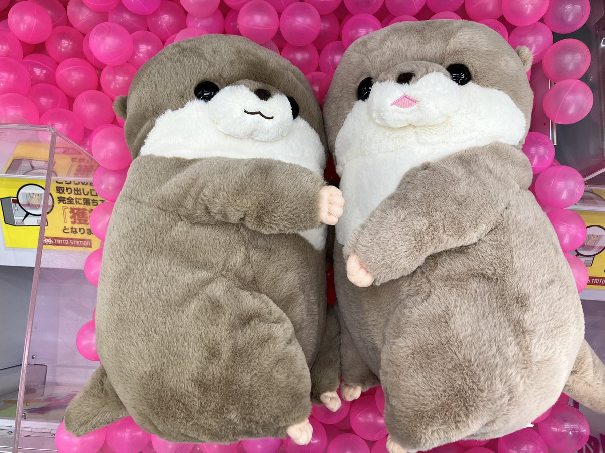 A カワウソの赤ちゃん ハグハグ ウルトラBIG 2種類セット タグ付き