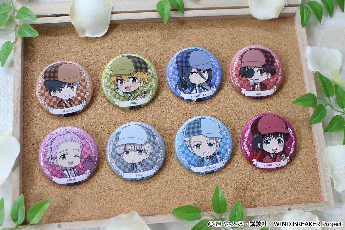 2026年3月発売予定 楽天市場にて予約受付開始！ WIND BREAKER ぷち