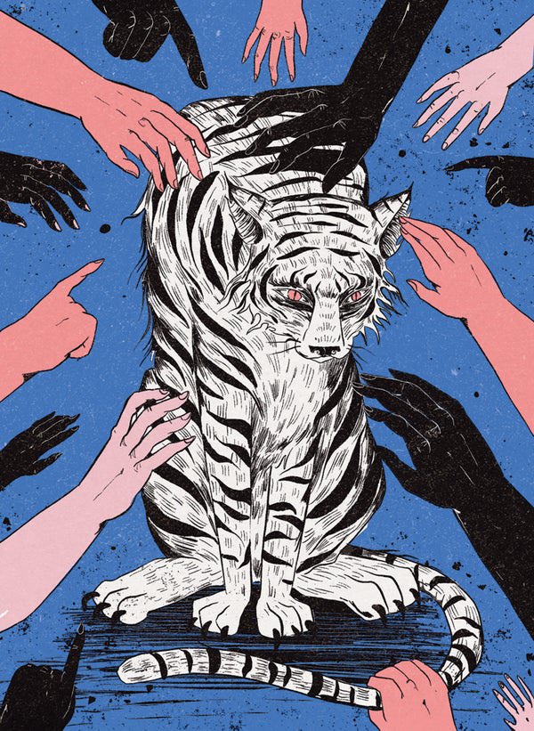 You can’t fix Malaysian football by changing players. You fix it by changing the system and right now,the system is broken from the top down.