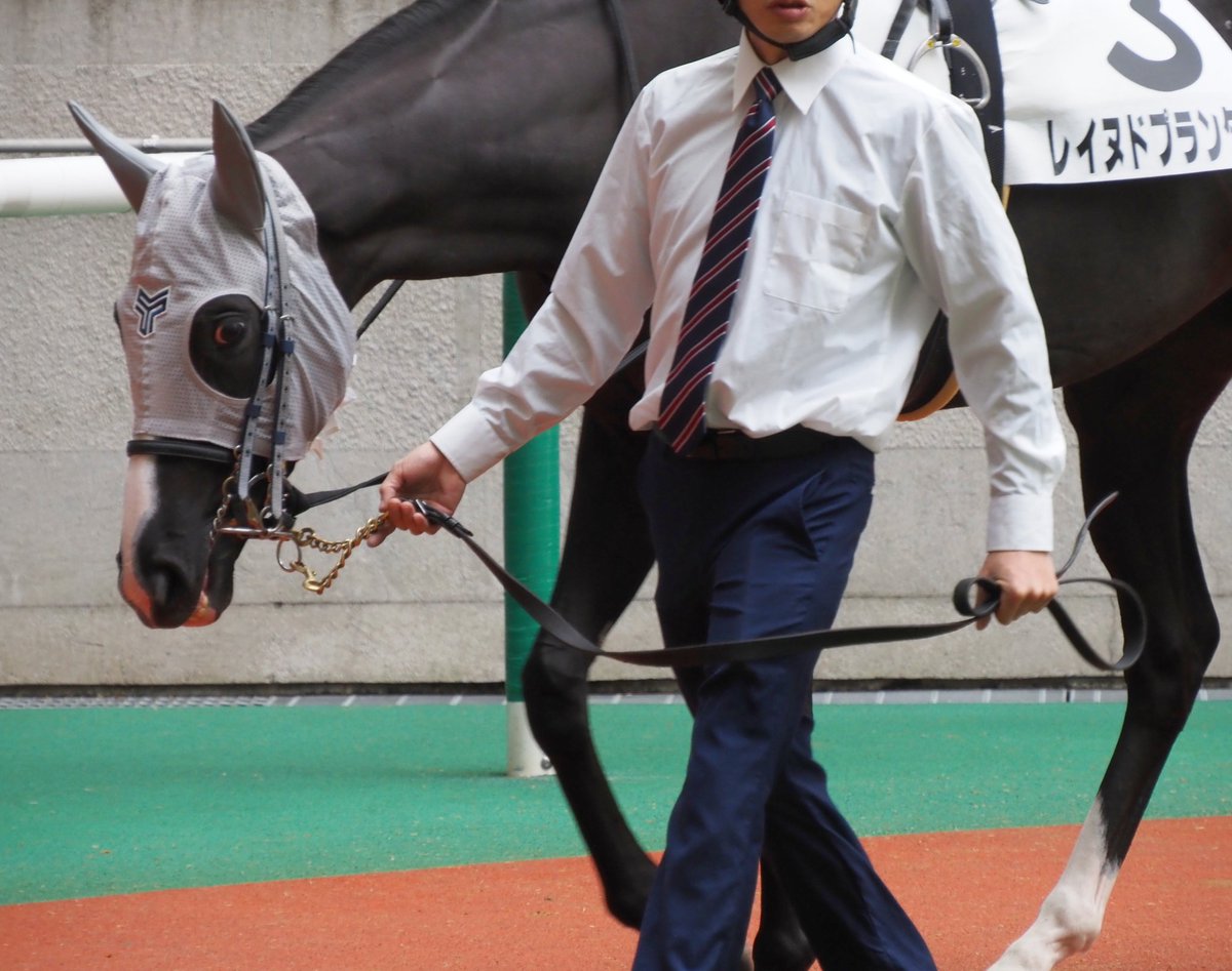 馬です et-coquine on X