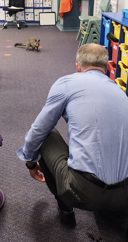 simon_mulready's tweet image. Something new every day