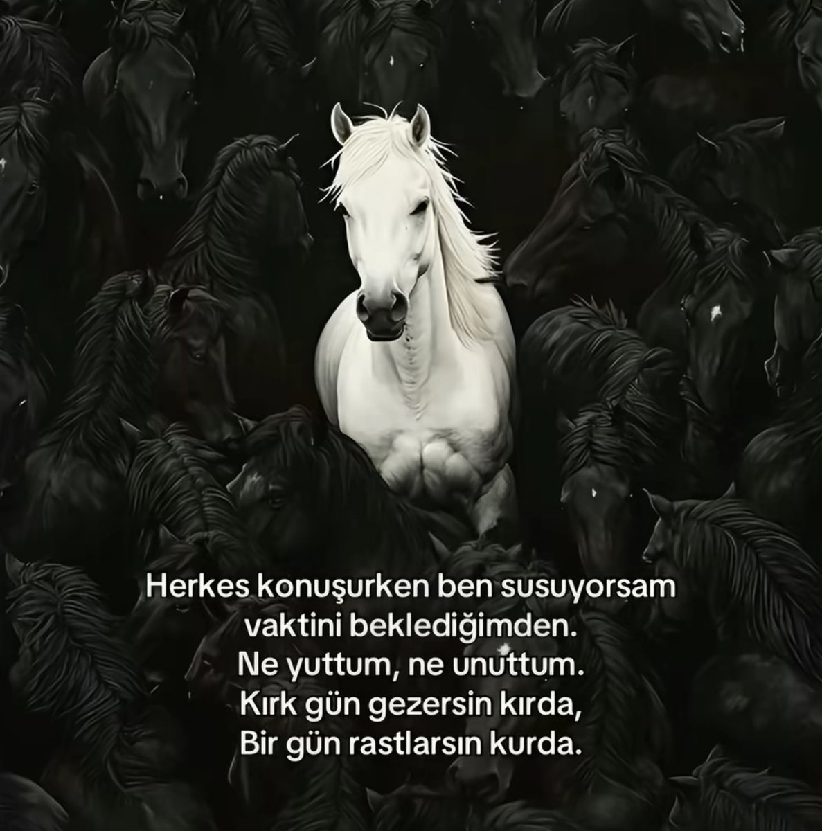 haklı (@asirihaklii) on Twitter photo 