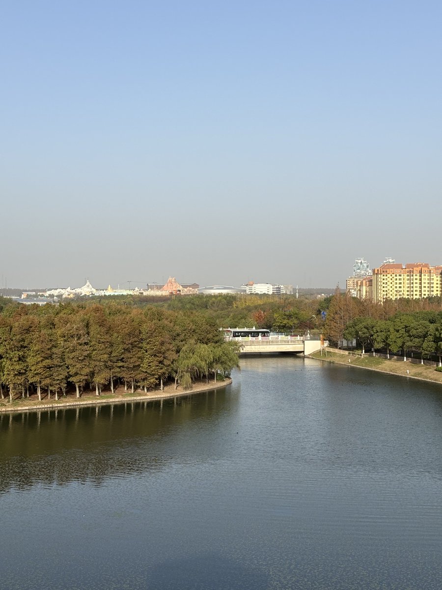 这个世界也开始了幻觉