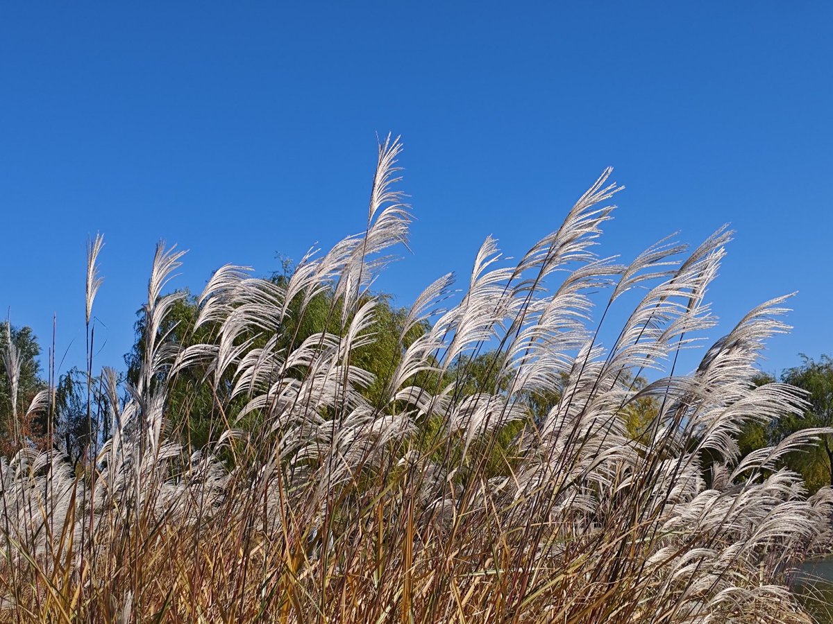 david_andrew123's tweet image. Feel the wind 💨