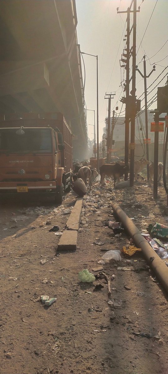Nazimalvi1's tweet photo. Pillar no 84 To 87 Salarpur Sec 102 Noida  Opposite Desi Sharap Ka THEKA supervisor ko Kai bar bola hai per vah Safai nahin karvata https://t.co/SmOOZlbJbK
