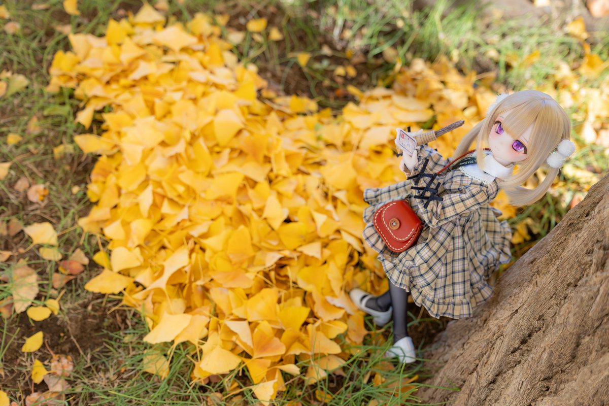 りあ「遅いんだけど～待ちくたびれちゃったよ」

#ふにゃほわっ子 
#TOAClaris 
#moment_doll