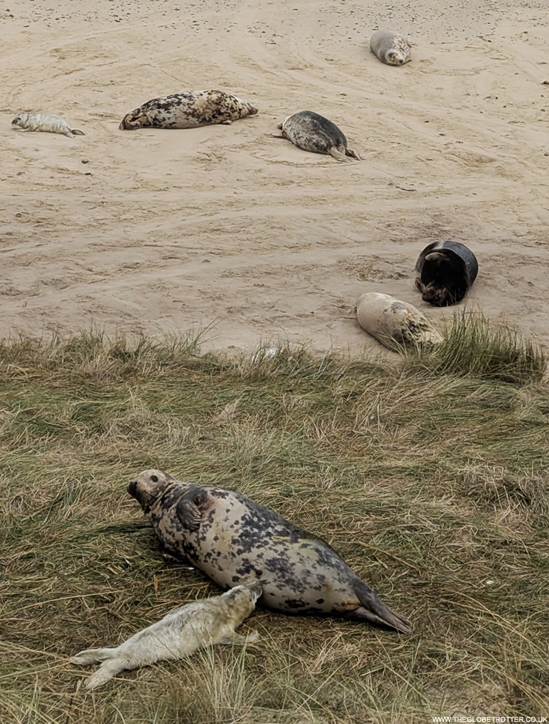 Deeptha @The Globetrotter tweet media