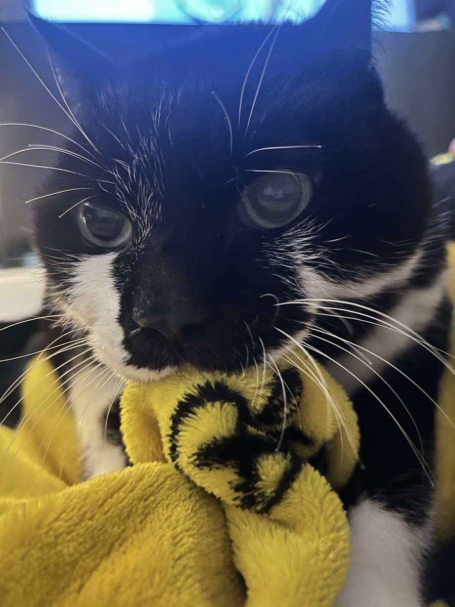 너 애기야? 쫍쫍이를해~ 아가처럼~