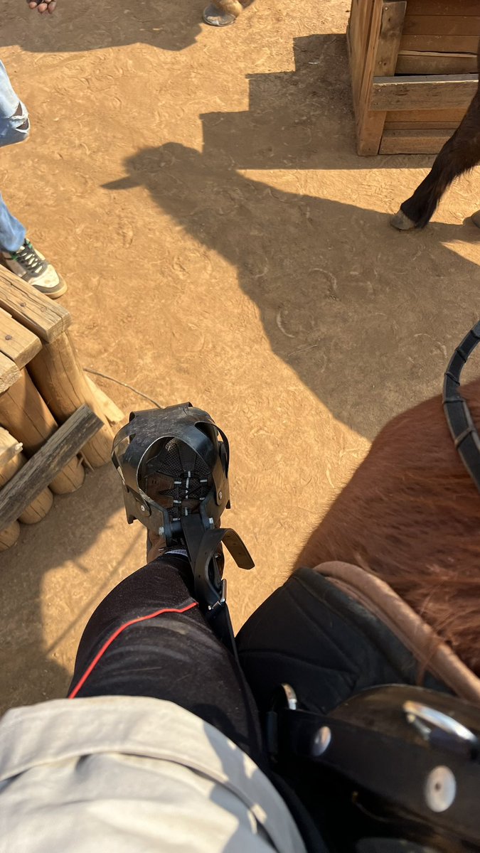 enzoletsgo's tweet image. 