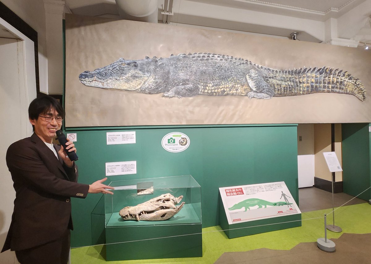 ワニ愛あふれる吉川夏彦・国立科学博物館研究員が「へぇ」ということを