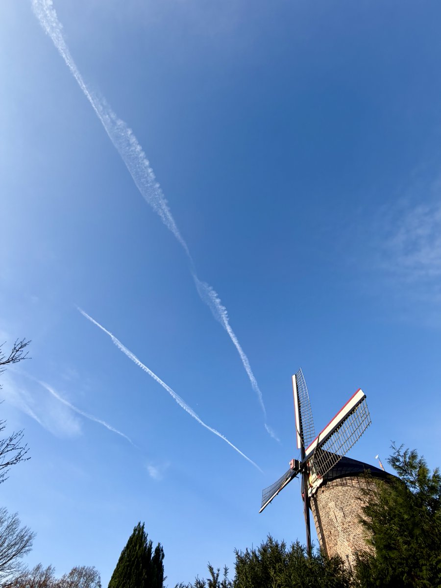 Sporen van beweging. Onbewolkt lijnenspel op een stralende dinsdagochtend #shotoniphone