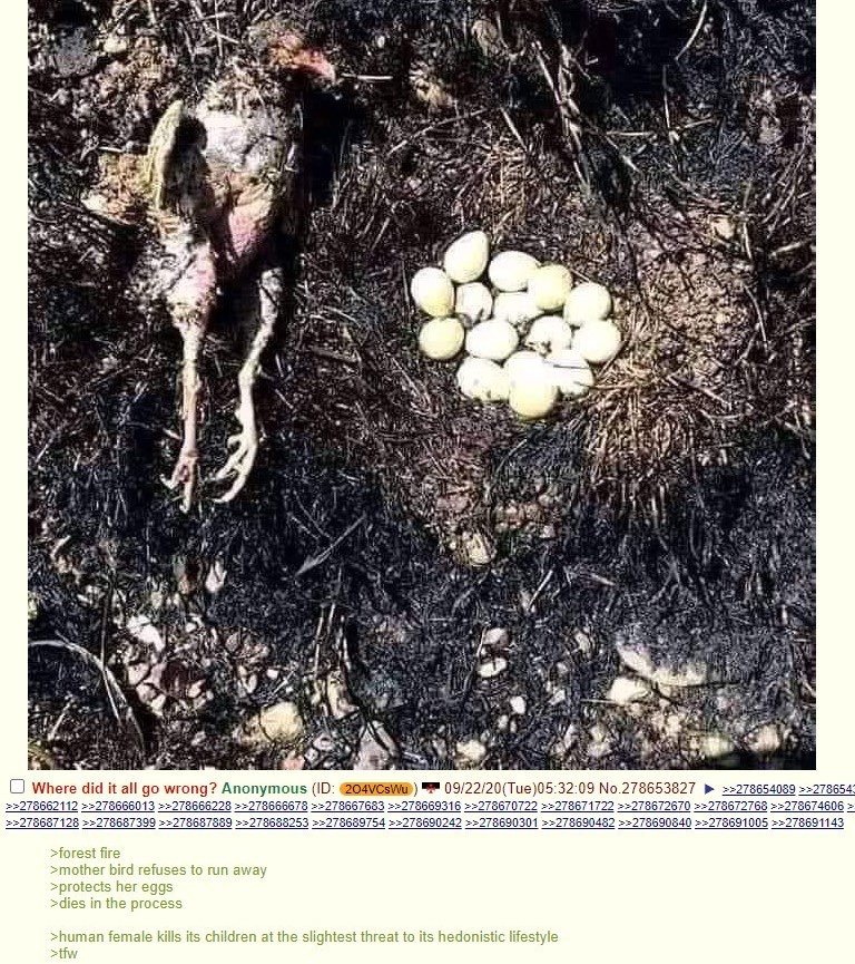 RusGarbageHuman's tweet image. &amp;gt;human female kills its children at the slightest threat to its hedonistic lifestyle