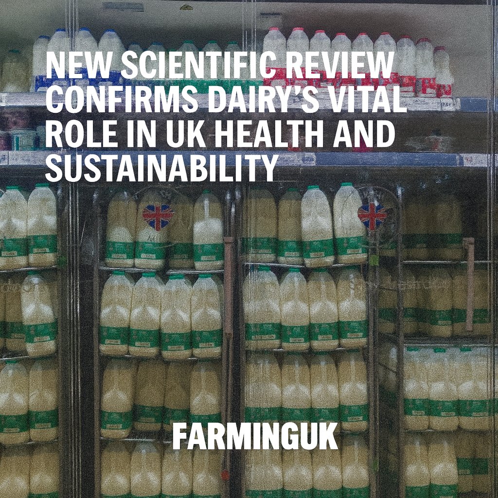 🧀💪A major new UK scientific review has confirmed that dairy remains essential to a healthy, sustainable diet. The report finds that dairy provides affordable, nutrient-dense foods

READ MORE: farminguk.com/news/new-scien…
