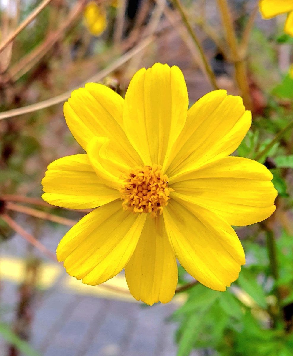 ちゅん (@aebBN6iwx957557) / Posts / X