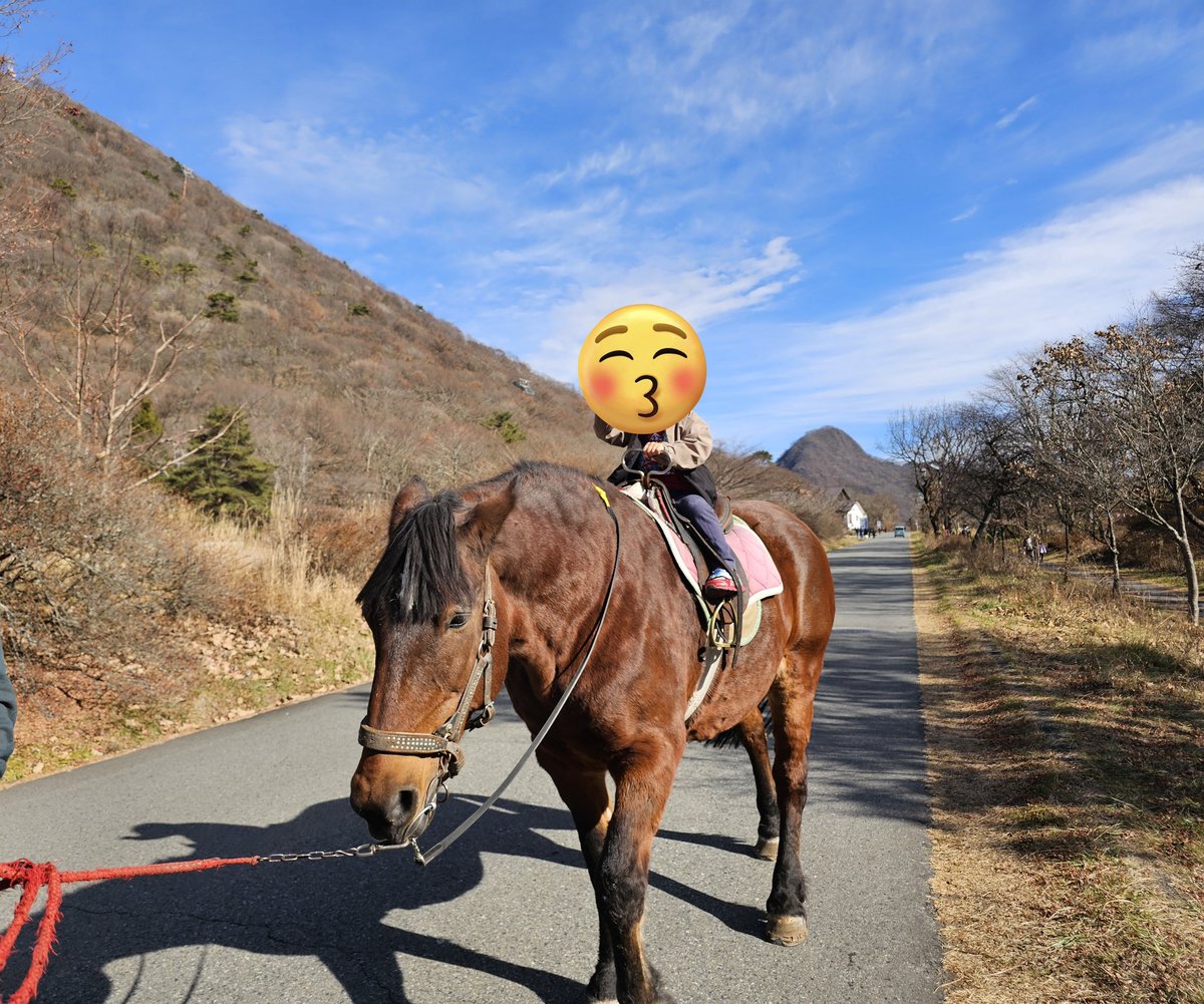 たっちゃんさん (@star_eater_3) / Posts / X