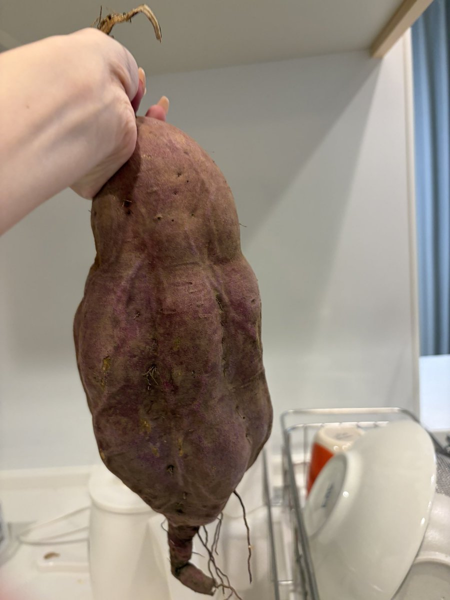 7時 -nanazi- @新人VTuber (@tonari_ite) / Posts / X