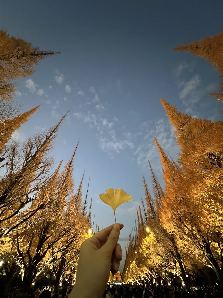 秋ってきました🍁