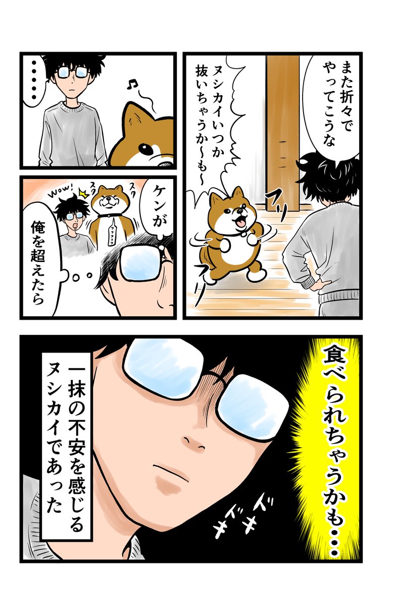 こんばんは🌝
本日のケンちゃんです♪🐕♪

#ケンちゃん 