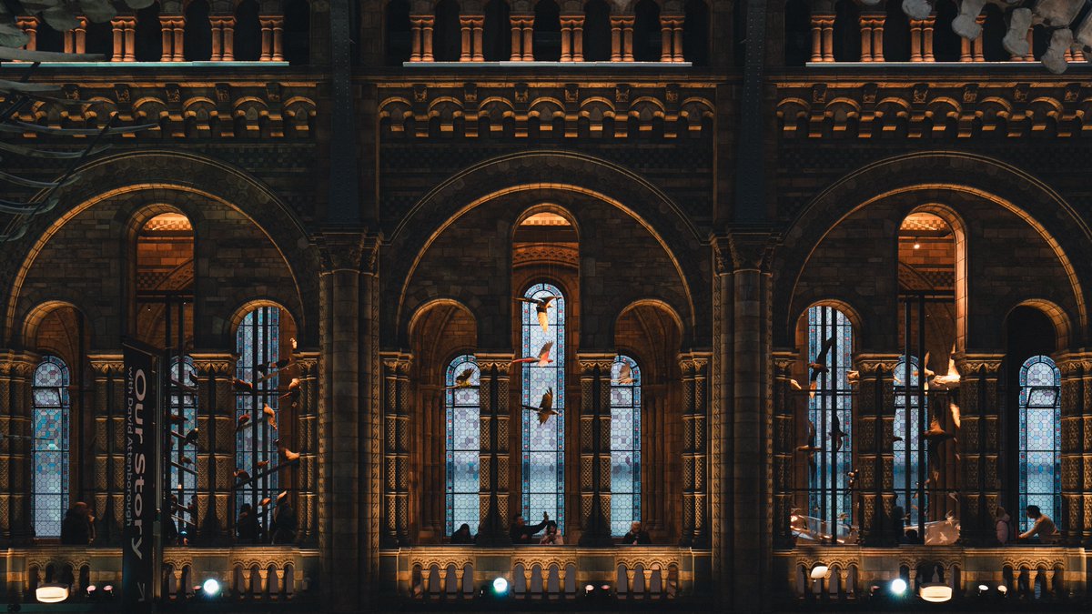 maciej_murawski's tweet image. Archival Symmetry.

Golden light meets stained glass. The grandeur and silent history captured within the magnificent architecture of the museum&apos;s walls.

📍: Natural History Museum, London
📸: Sony a7IV + Sony 35mm F/1.4 GM
