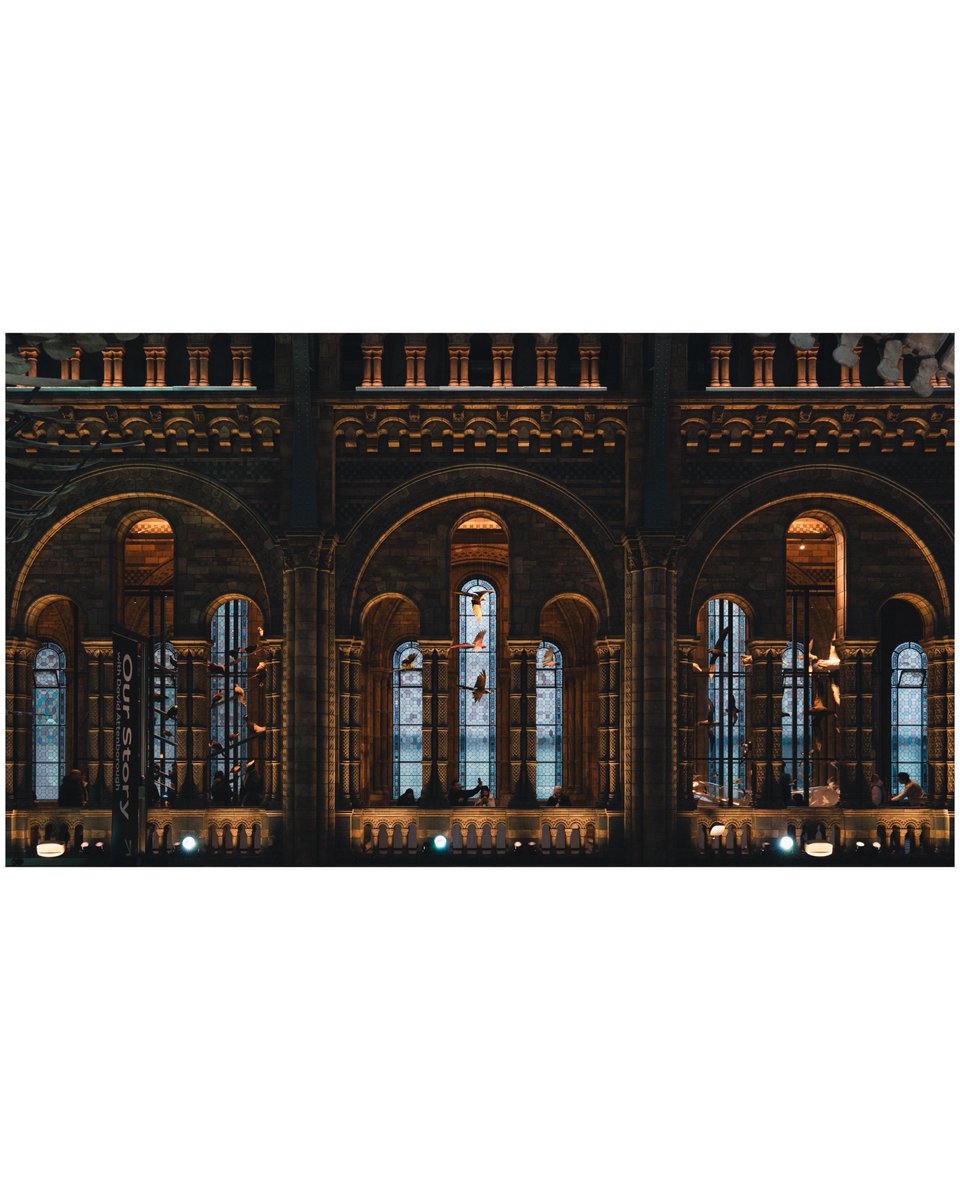 maciej_murawski's tweet image. Archival Symmetry.

Golden light meets stained glass. The grandeur and silent history captured within the magnificent architecture of the museum&apos;s walls.

📍: Natural History Museum, London
📸: Sony a7IV + Sony 35mm F/1.4 GM
