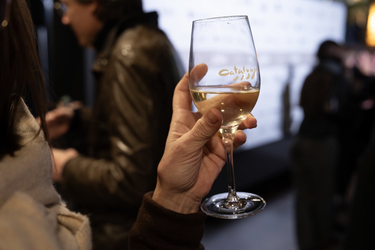 DO Catalunya tweet media