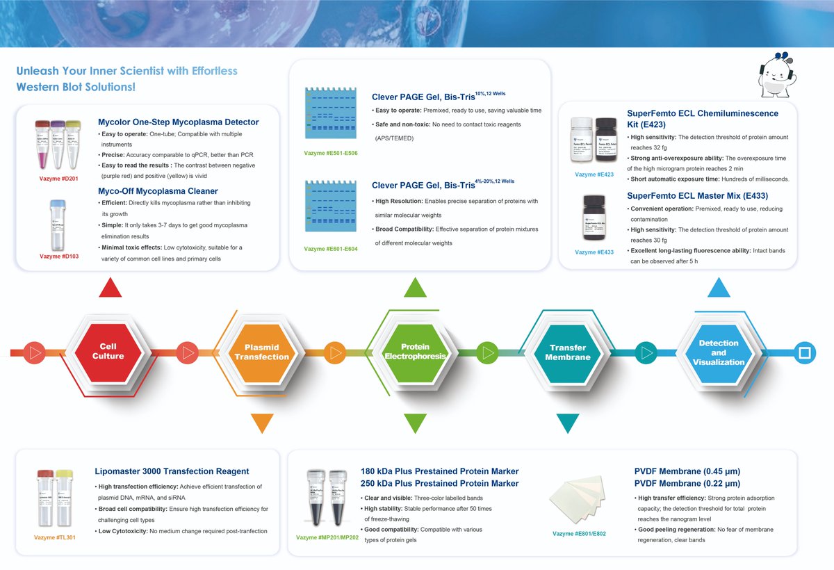 🧬Protein expression made simple!
🌟One-stop Protein Solution with ready-to-use reagents and full product portfolio coverage.
✅ Streamlined your workflow
✅ Clear, sharp, reproducible Western blot bands
👉Learn more>>bit.ly/4i6zfq9

#ProteinExpression #LifeScience