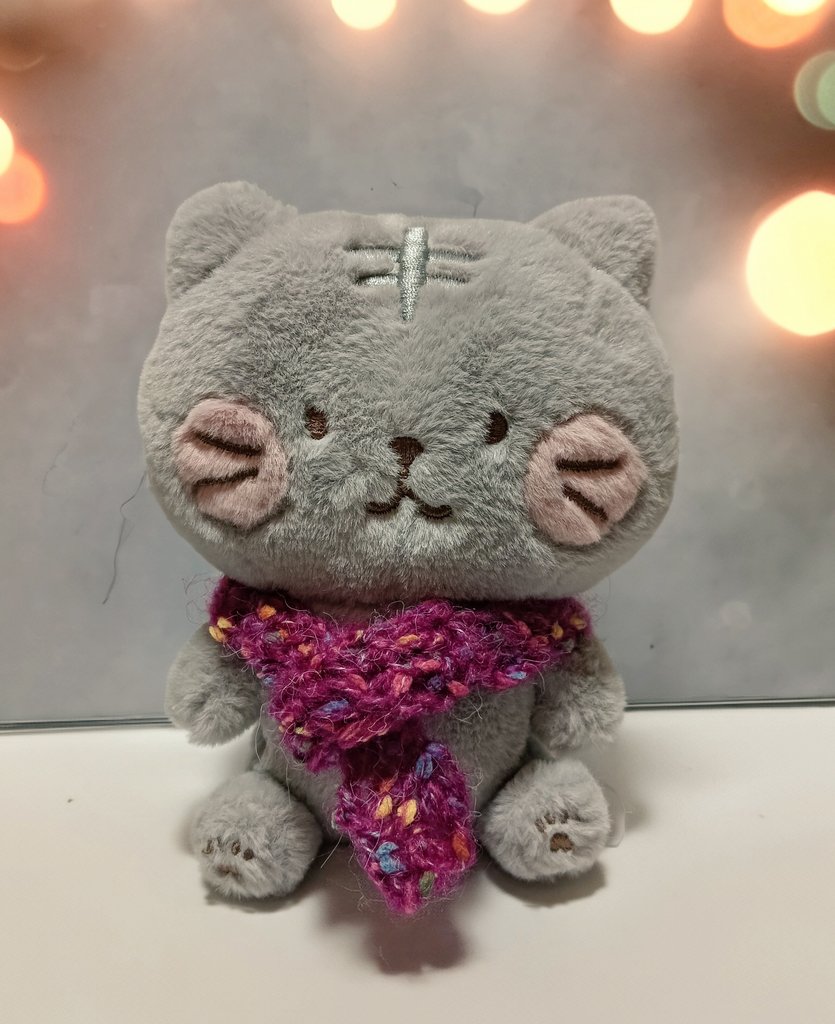 fm_154's tweet image. ハピンズのセール時に足ポカ腹巻きパンツを見に行く度に にゃんこが増えるというサイクル。先月はハッチ、今回はサバ太。
うちのニャン達の誰とも柄が同じメンバーがいないので推しを決められない。マフラーはユザワヤのロリポップガーデン。
#ふくふくにゃんこ