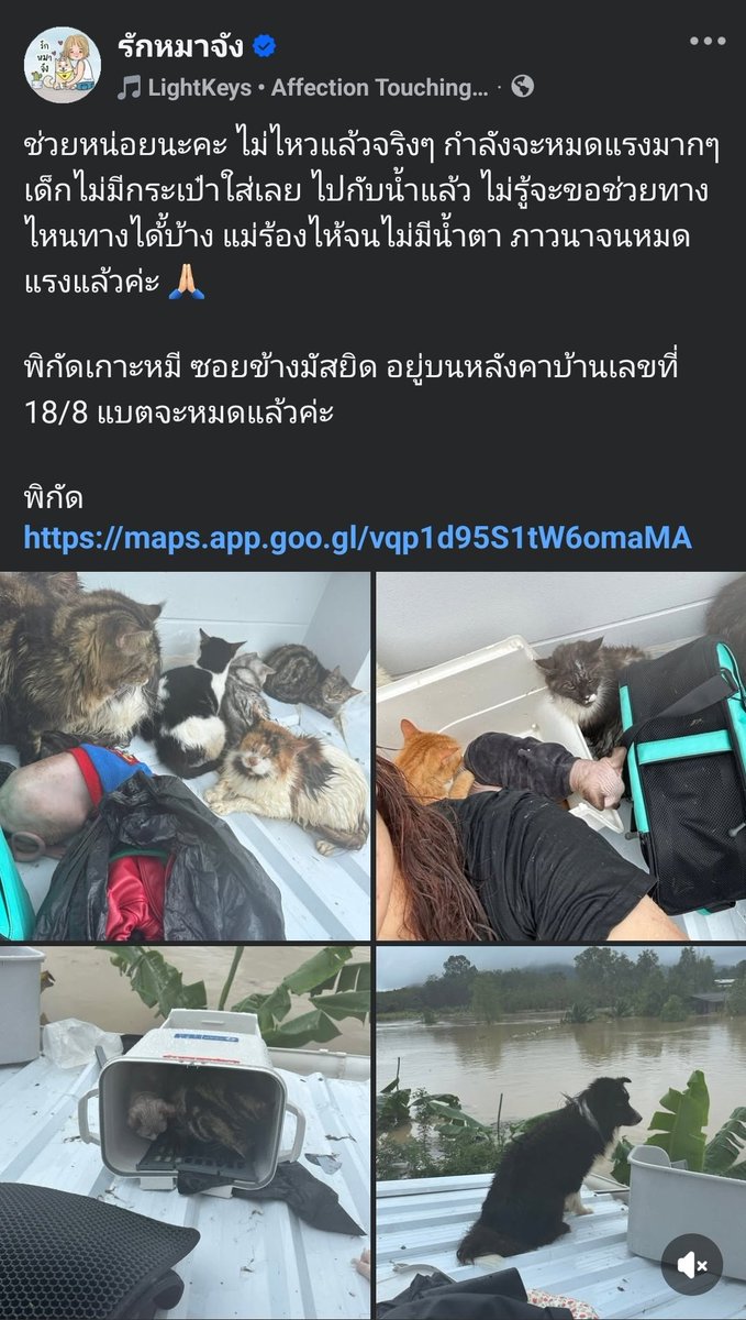 ฝากกระจายข่าวค่ะ !

ตอนนี้น้ำขึ้นชั้น 2 แล้ว ที่บ้านมีผู้สูงอายุ 4 คน หมา 8 แมว 6 ไม่มีหน่วยงานเข้ามาช่วยเหลือเลย

บ้านเลขที่ 67 ถนนบุญเลิศ อ.หาดใหญ่
เบอร์ที่ติดต่อได้นะคะ
098-606-0208
090-715-4650
098-091-7819

#น้ำท่วมหาดใหญ่