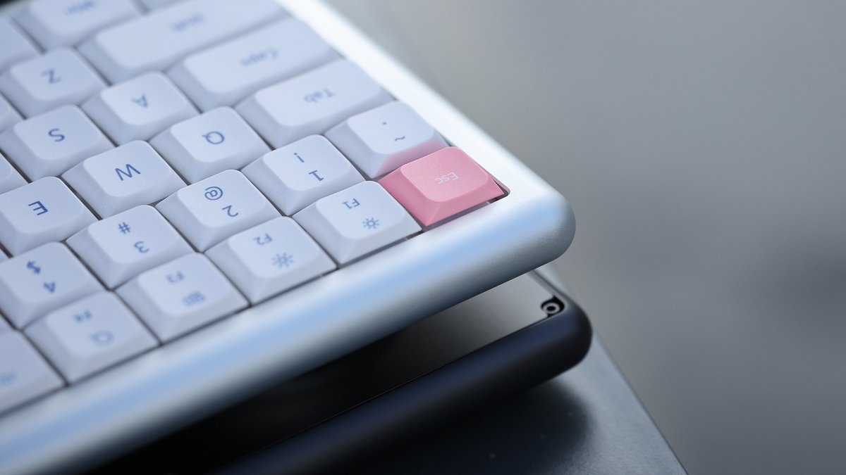 ChosfoxMK tweet media