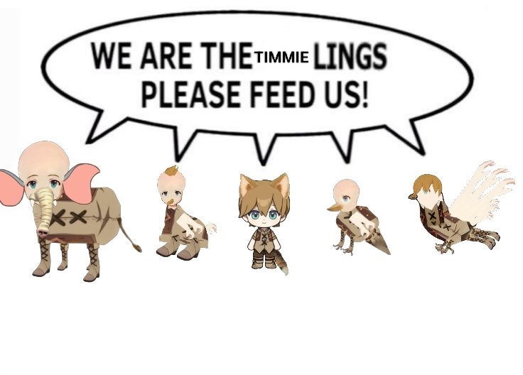 Daily timmie 🕊️ tweet media