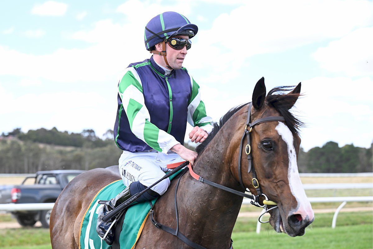 AJ Chambers Racing tweet media