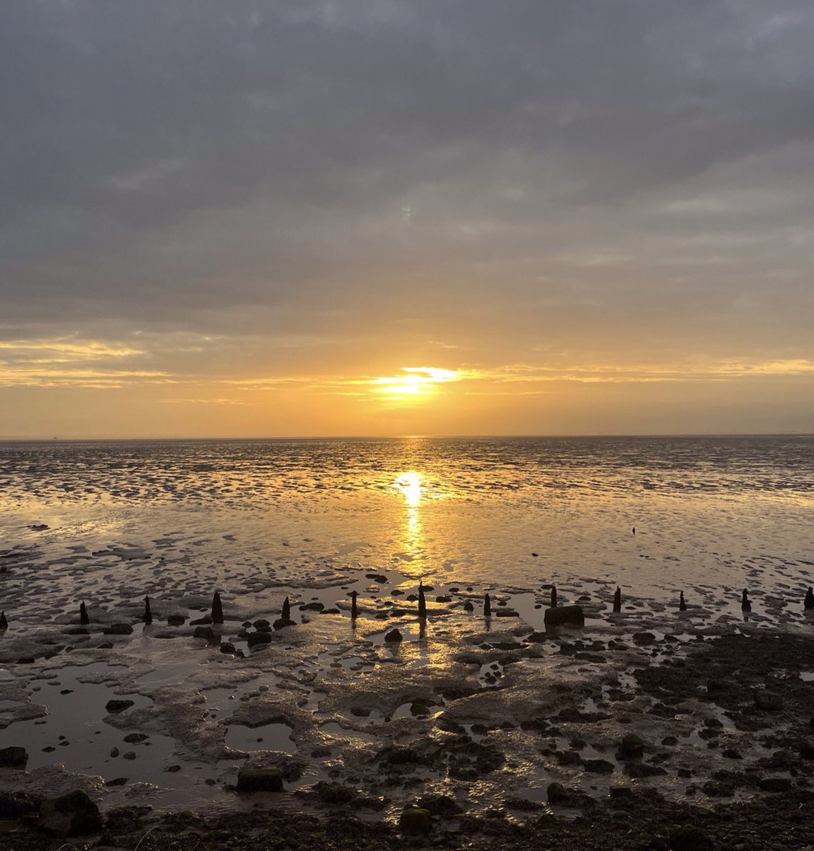 jillwebbwords's tweet image. The sun broke through clouds
Just before twilight’s embrace
#Timed to perfection.

#vss365 #haiku