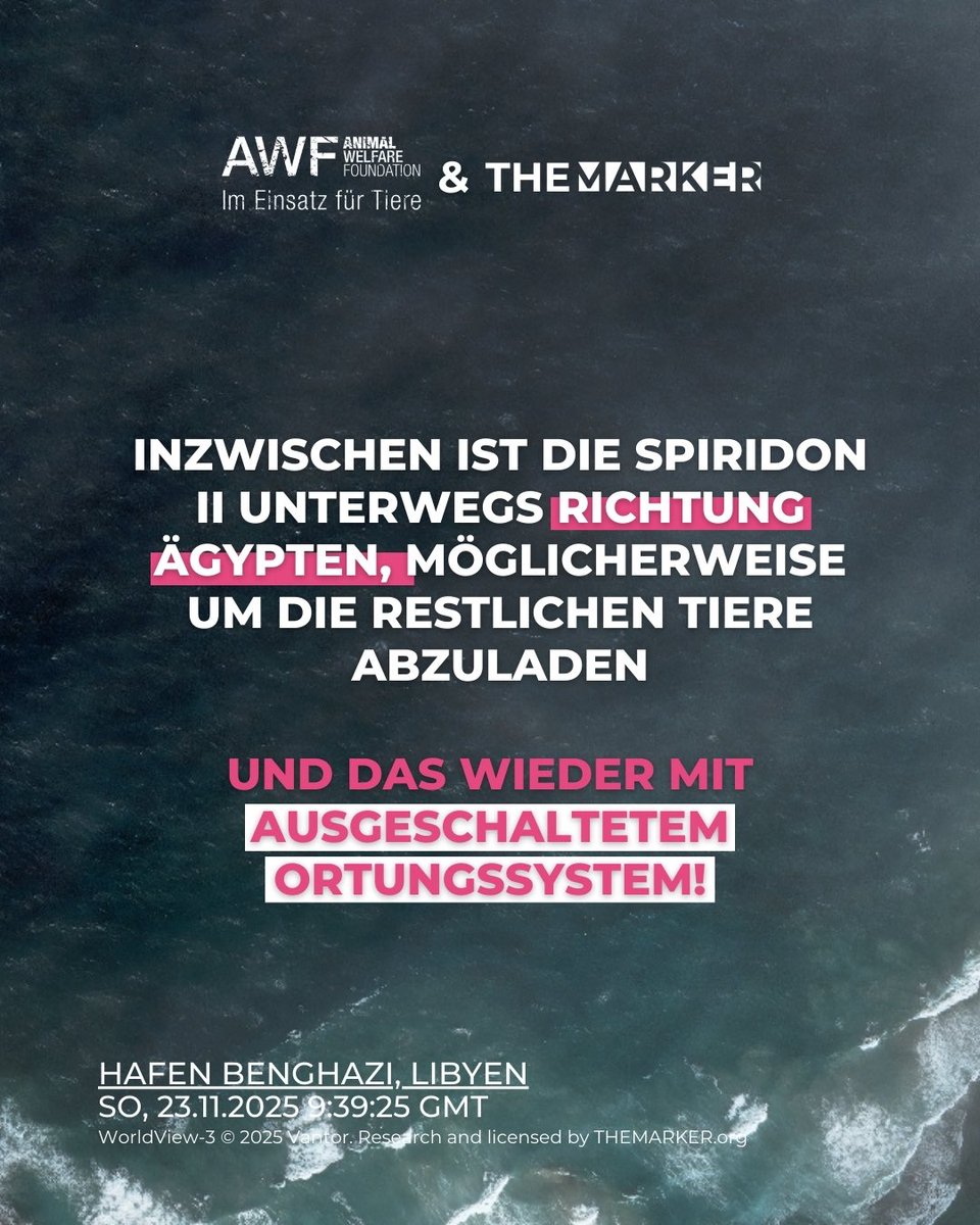 UPDATE ZU SPIRIDON II - Satelliten-Aufnahmen zeigen: Zumindest Teil der Rinder wurde in Libyen abgeladen. 

Satelliten-Bilder von The Marker zeigen 12 LKW neben der #spiridonII , ein LKW gerade am Schiff angedockt durch eine provisorische Rampe aus Containern.

#tiertransporte
