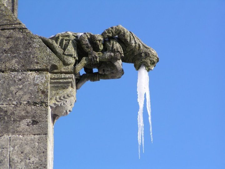 LonelyAppleTree's tweet image. I could vomit from the cold.🥶