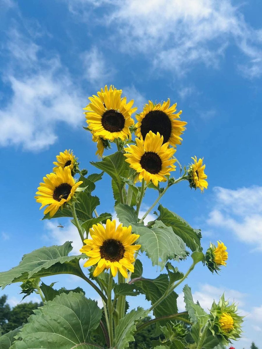 เราทุกคนมีทางเลือกเสมอ อยู่ที่ว่าเราจะเลือกเส้นทางไหน.🤍🌻