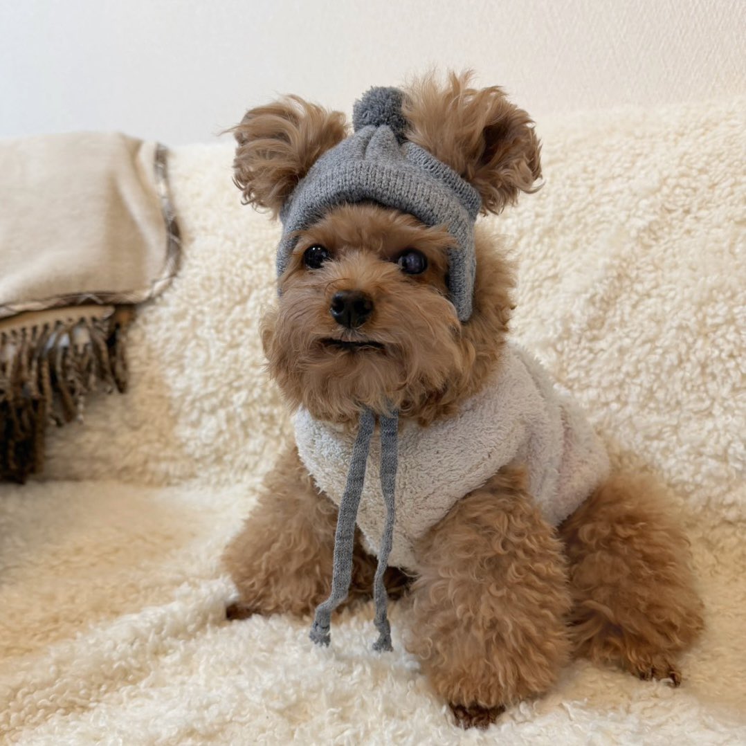 思ってたのと違う‍ｗｗｗ