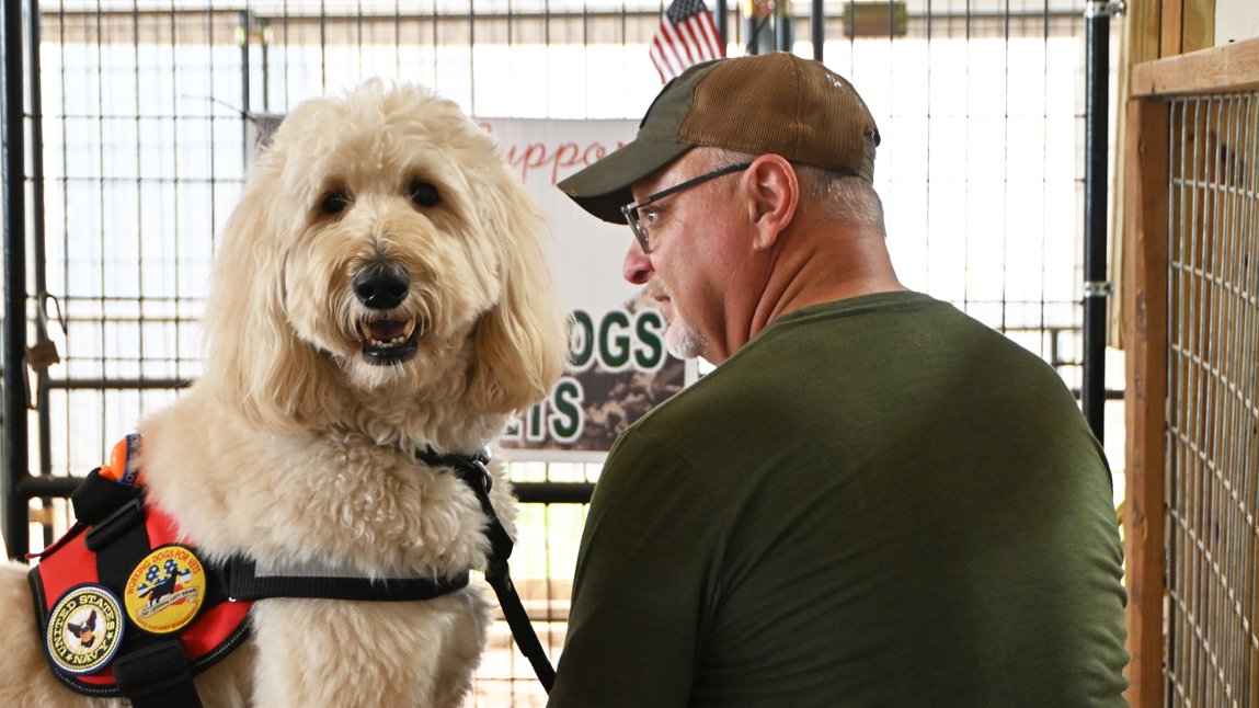 84DogsHelp's tweet image. Shelter dogs can become lifesaving service partners for veterans — trained to provide mobility and tasks to help with independence. Learn how you can help: workingdogsforvets.org #ServiceDogs #Veterans