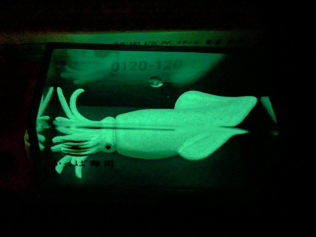 itm_nlab's tweet image. イカが光るよ！

「“めっちゃいいトミカ”手に入ったから見て!!!」 かっぱ寿司限定品の“突き抜けたデザイン”に反響「完璧じゃねーか」「迷走が半端ないw」
nlab.itmedia.co.jp/cont/articles/…