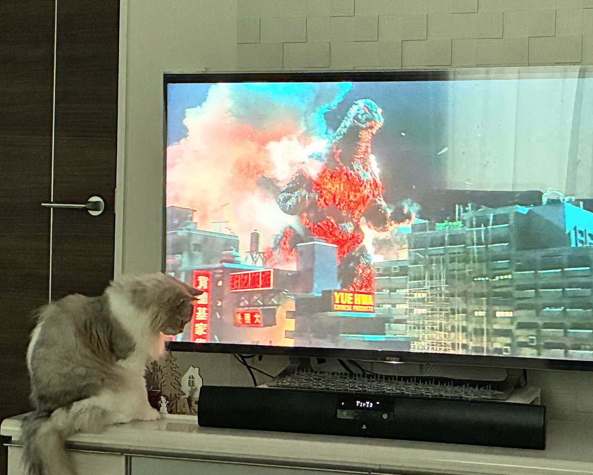 ぽんた (@poponta_ponta) / Posts and Replies / X