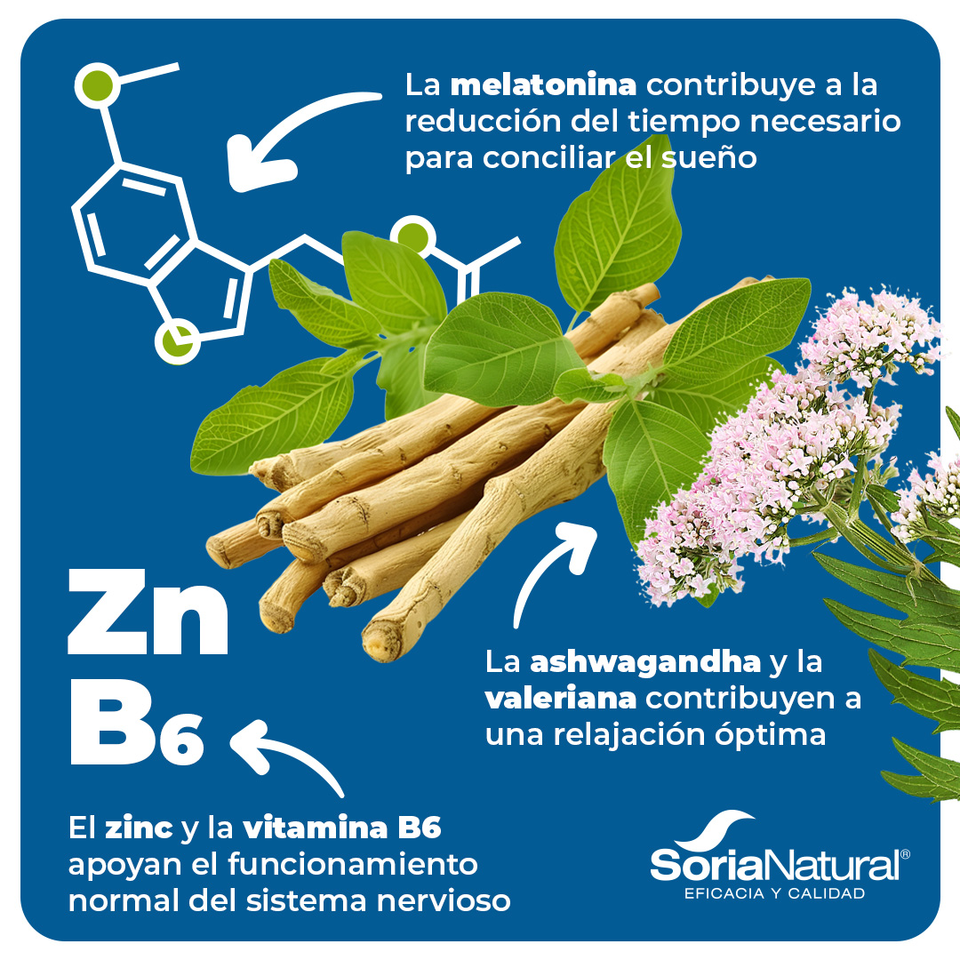 Tu nuevo ritual para dormir bien se llama Sleepsor 😌

✔️Melatonina: acelera el inicio del sueño
✔️Ashwagandha + valeriana: calma cuerpo y mente
✔️Zinc y B6: mantienen el sistema nervioso en equilibrio

Toma 1–3 mL en agua 30 min antes de dormir…y disfruta de un sueño reparador