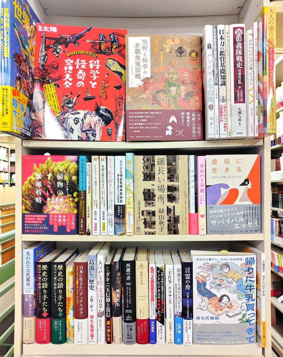 toritugi_yagi's tweet image. 2025/11/25 #めえめえ新入荷
#河出書房新社　#平凡社　#雄山閣　#勉誠社　#築地書館　#青志社　#柏書房　#書肆侃侃房　#晶文社　#扶桑社　#東京堂出版　#青幻舎　#藤原書店　#国書刊行会　#論創社　#ウェッジ　#地平社