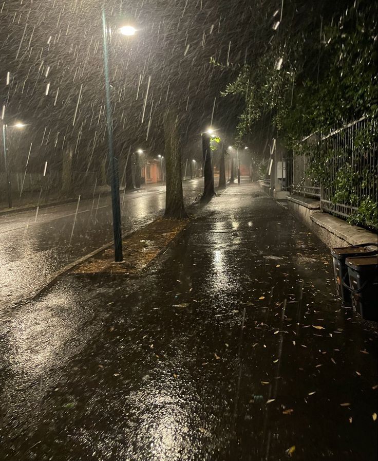 deadwolfwalking's tweet image. "It's that time again, huh?"